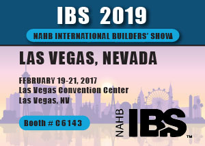 IBS logo